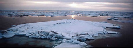 alaska_sea_ice2.jpg