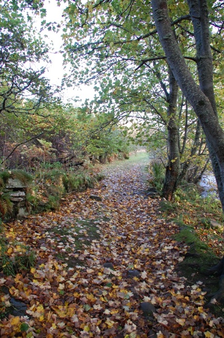 Heritage Trail 460.jpg